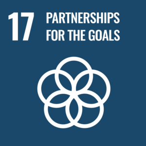 partnerships-for-the-goal