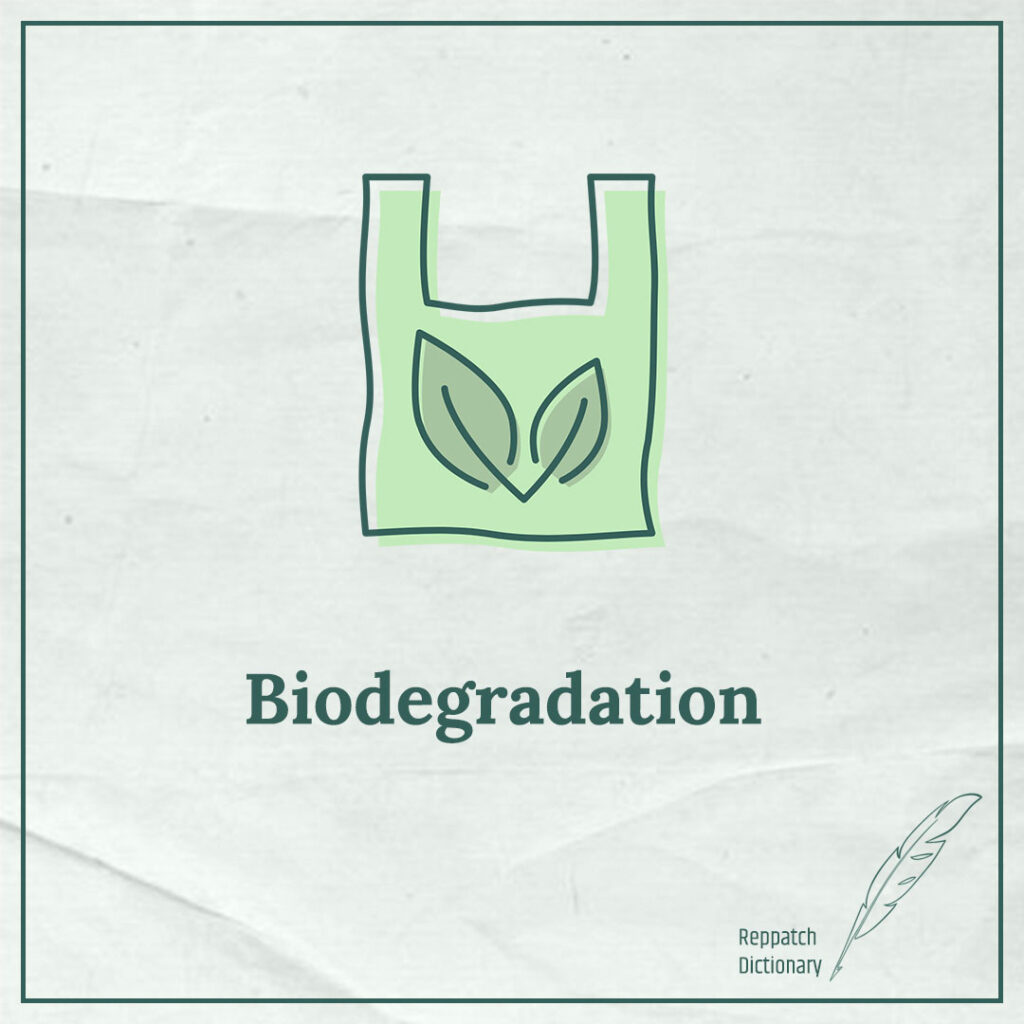 biodegration-reppatch-upcycle