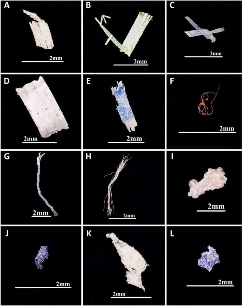 mikroplastik-microplastic-reppatch-academy